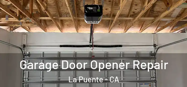  Garage Door Opener Repair La Puente - CA