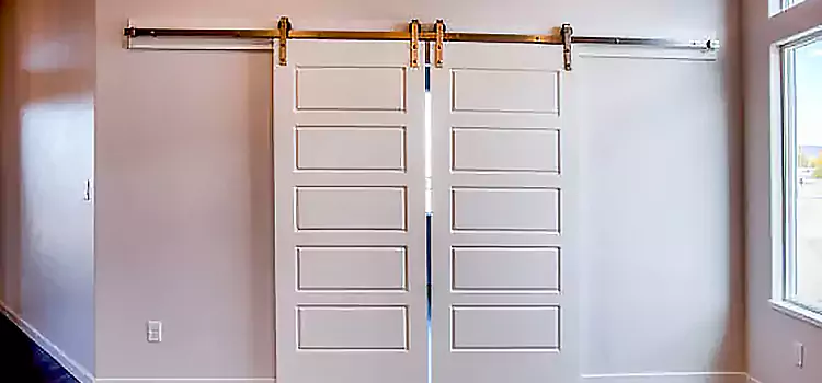 Glass Barn Door with Installation Hardware Kit La Puente